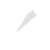 铜仁临时保镖服务